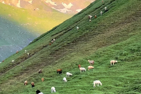 䓲Ĺ�˾������ȫ����