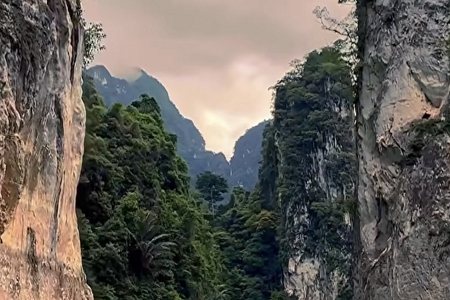 ���R�Ĺ�˾����