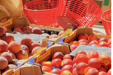 ������˾ȡ����ȫ