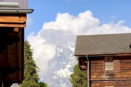 ͨ���нo��˾ȡ��