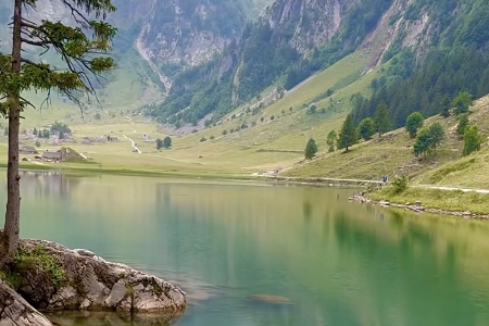 �����˾����