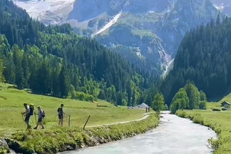 �b�޹�˾ȡ��