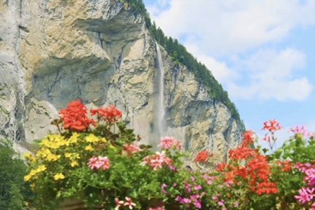 �׾����Q(m��o)��˾����