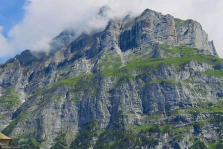 �����O�乫˾����