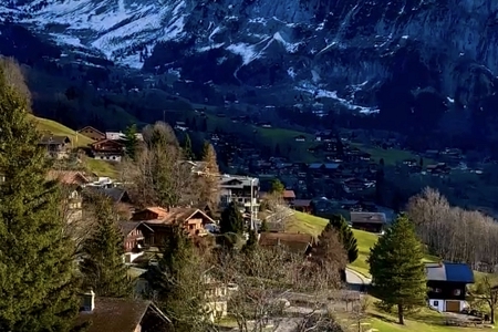 ע�Թ�˾���ִ�ȫ