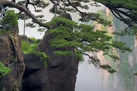 С�J��˾��ô����