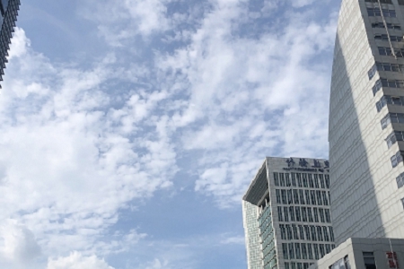 ������ȫ����Ĺ�˾����