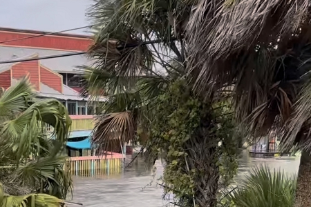 ��˾���M�����W