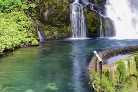 ���Ќ�ľ�Ĺ�˾��