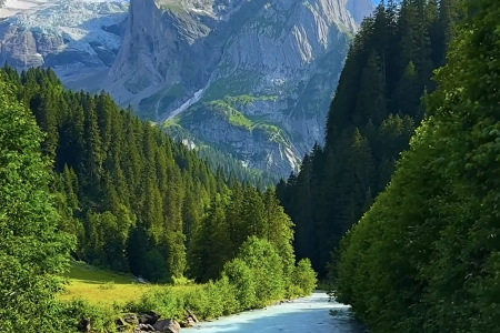 �������˾���ִ�ȫ