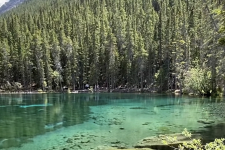 ��˾��ɶ����