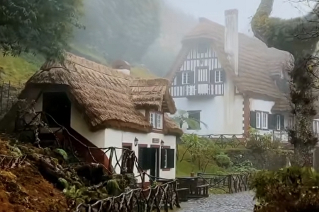 ������˾ȡ����