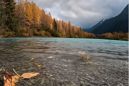 �Q�׹�˾ȡ��