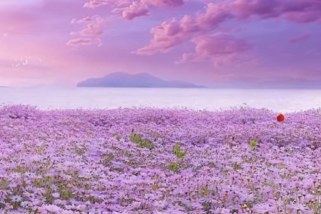 ������˾������ȫ