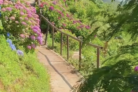 開公司取名字哪些字好