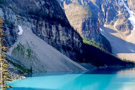 늚⹫˾����