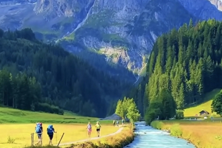 Ԣ��lؔ�Ĺ�˾����