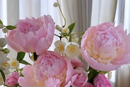 2026����� �Ĺ�˾���Q��ȫ