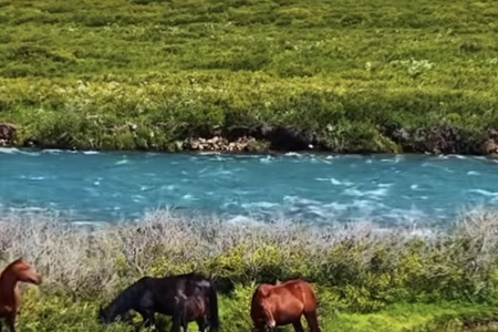 �b�˾ȡ��ܛ��