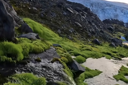 ��ԃ��˾���ִ�ȫ