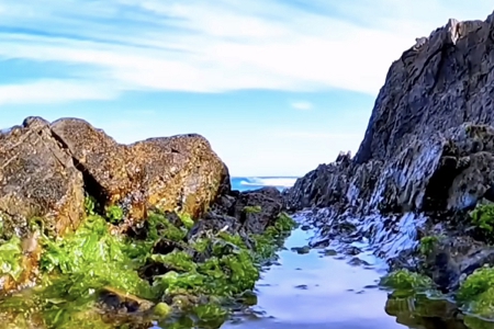 ���b��˾����