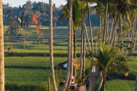 �W(w��ng)����˾���ִ�ȫ