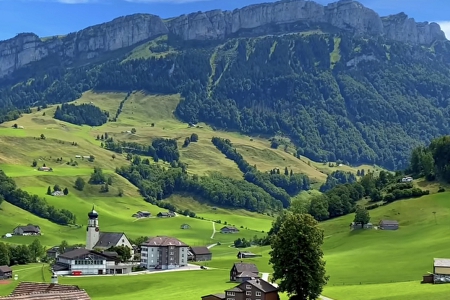 ���Q��˾�������]