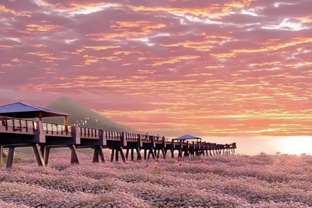 �O�ع�˾������