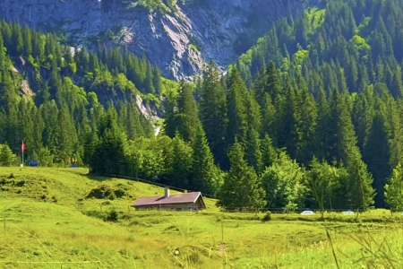 ���b���޹�˾���ִ�ȫ