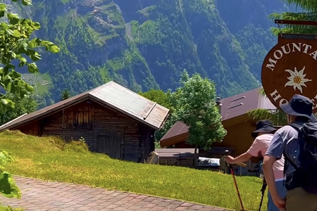 �r�I�lչ���޹�˾����