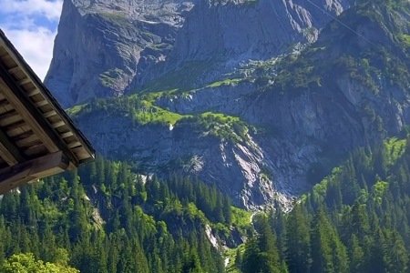 �w���Ļ��a(ch��n)�I(y��)�l(f��)չ��˾ȡ��