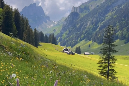 �K�ݹ�˾����