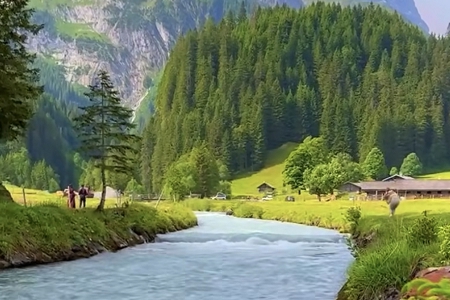 �����˹�˾������