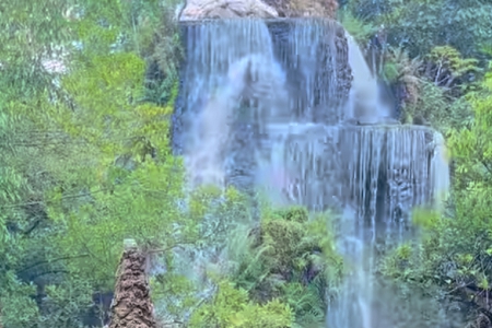 ���\��˾ȡ��