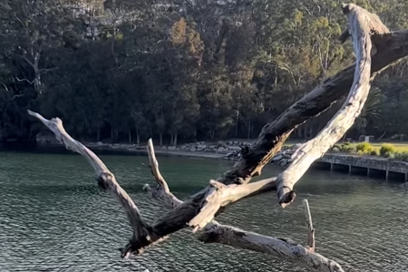 �b�˾��ʲô���ֺ�