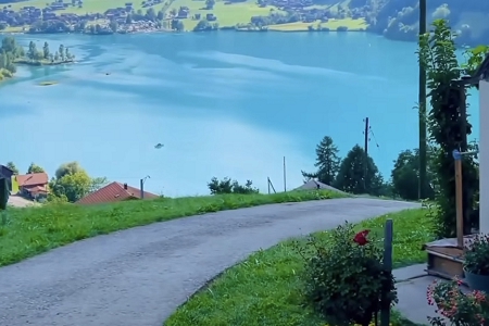 ������˾���ִ�ȫ