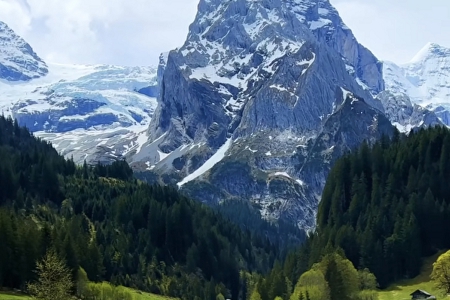 咨詢管理公司名字大全