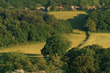 ��˾�W������