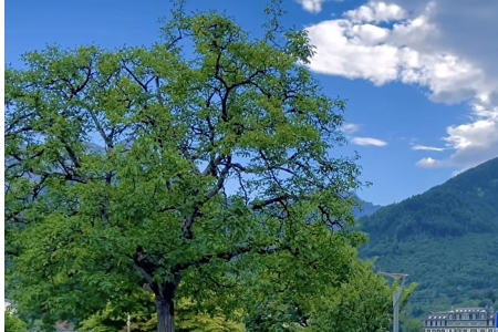 ��ô��˾���ִ�ȫ