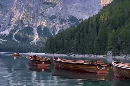 ��˾���������W