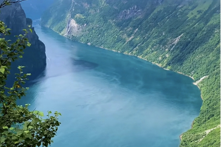 �ھ���˾����