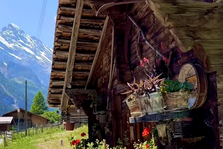 ���o��˾����