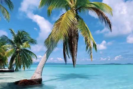 ����ܛ�b��˾���ִ�ȫ