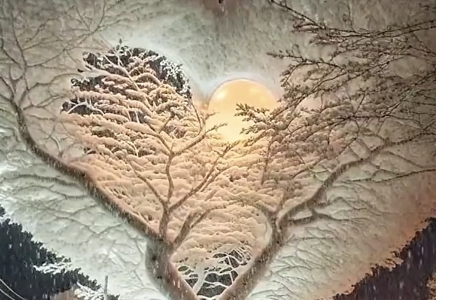 �Ļ��������޹�˾����