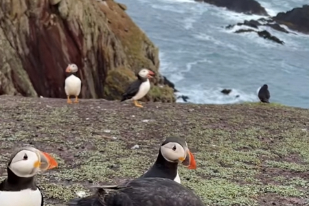 ���W�Ƽ���˾������ȫ