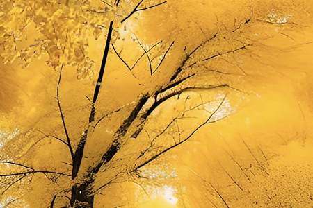 �o�Q(m��o)�׹�˾������ô��