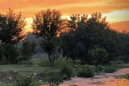 ���Ź�˾����