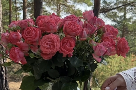 �W�j�Ƽ���˾����