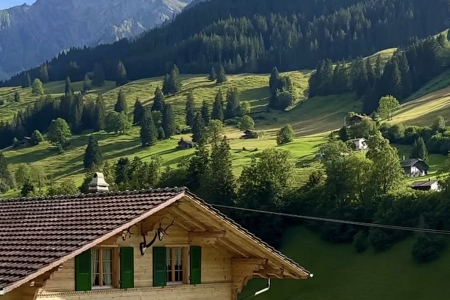 �Ƽ���˾����