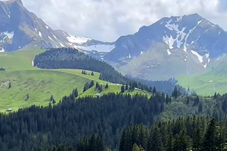 ��˾��������